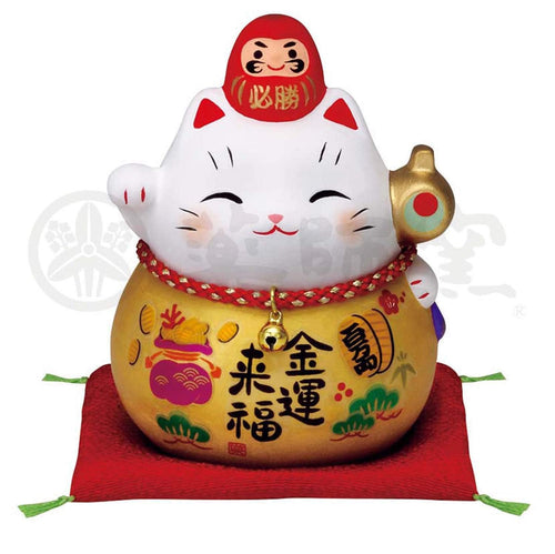 From Japan Beckoning Lucky Cat for Good Luck Maneki Neko with Daruma 7691